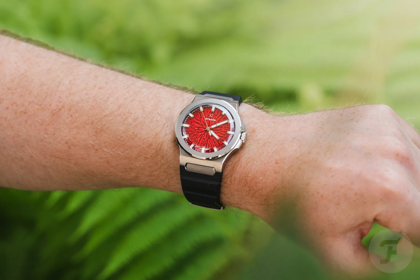 Fratello Straum Jan Mayen – Titanium Limited Edition